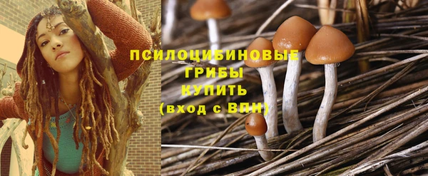 2c-b Абдулино