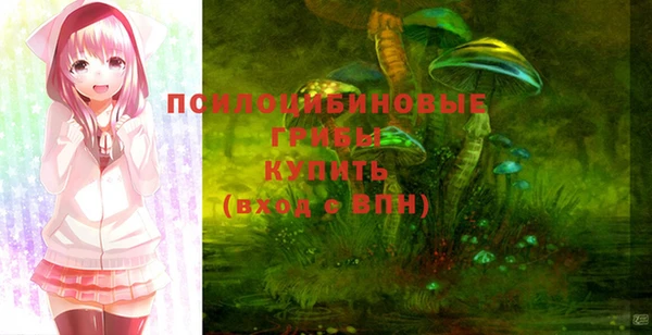 2c-b Абдулино