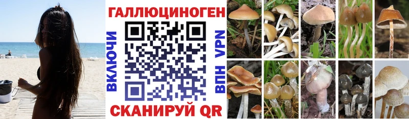 Псилоцибиновые грибы ЛСД  Дальнереченск 